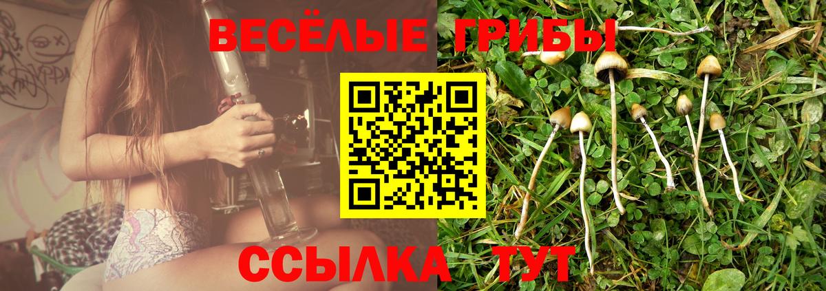Галлюциногенные грибы мухоморы  Вход с VPN  Лыткарино 