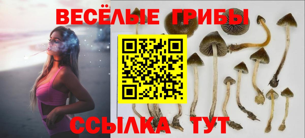 Бутират Лыткарино